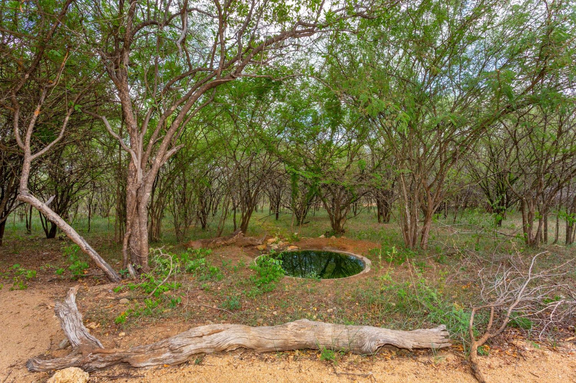 フッドスプルイト The Bush Houseヴィラ エクステリア 写真